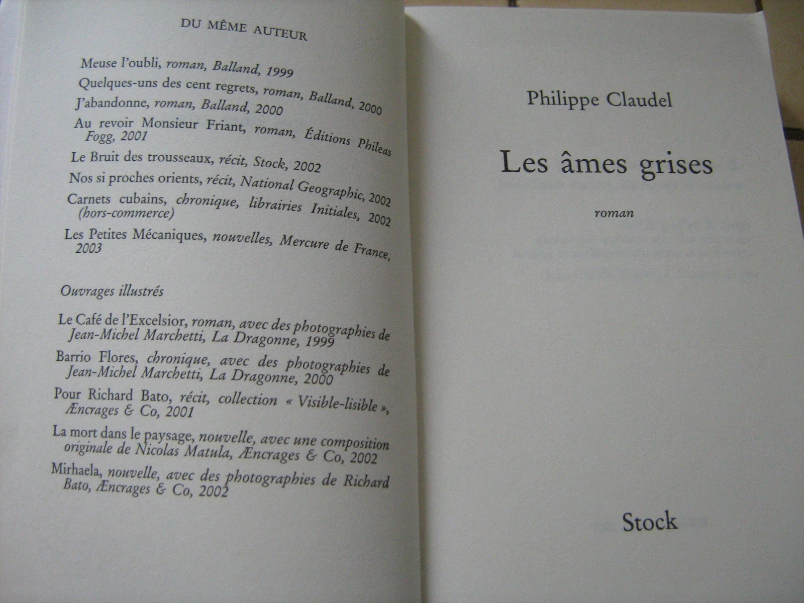 as almas cinzentas – photo 4